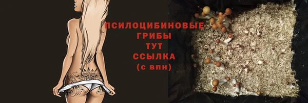 прущие крисы Бронницы