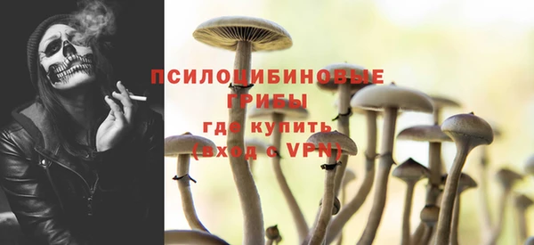 a pvp Богородицк