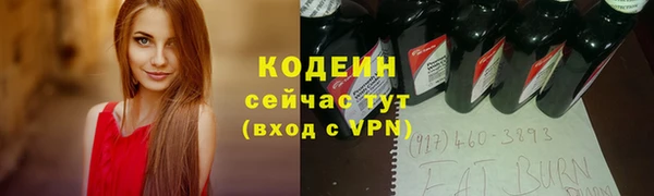 эйфоретик Бородино